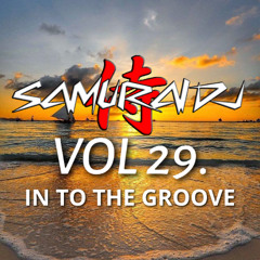 SAMURAI DJ. VOL 29. IN TO THE GROOVE.