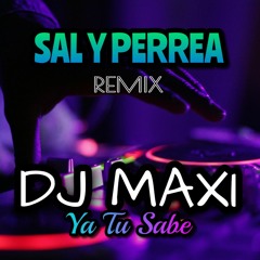 SAL Y PERREA - SECH,DADDY YANKEE,J BALVIN REMIX RKT DJ MAXI YA TU SABE