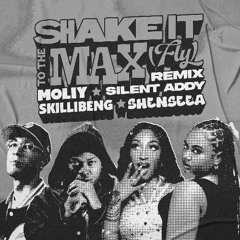 Shake It To The Max (FLY) (Remix) vs Esto Es Un Party (DJDX Blend)