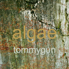 algae