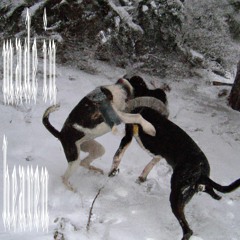 MADE IN HEAVEN 『Crusher ReWork』