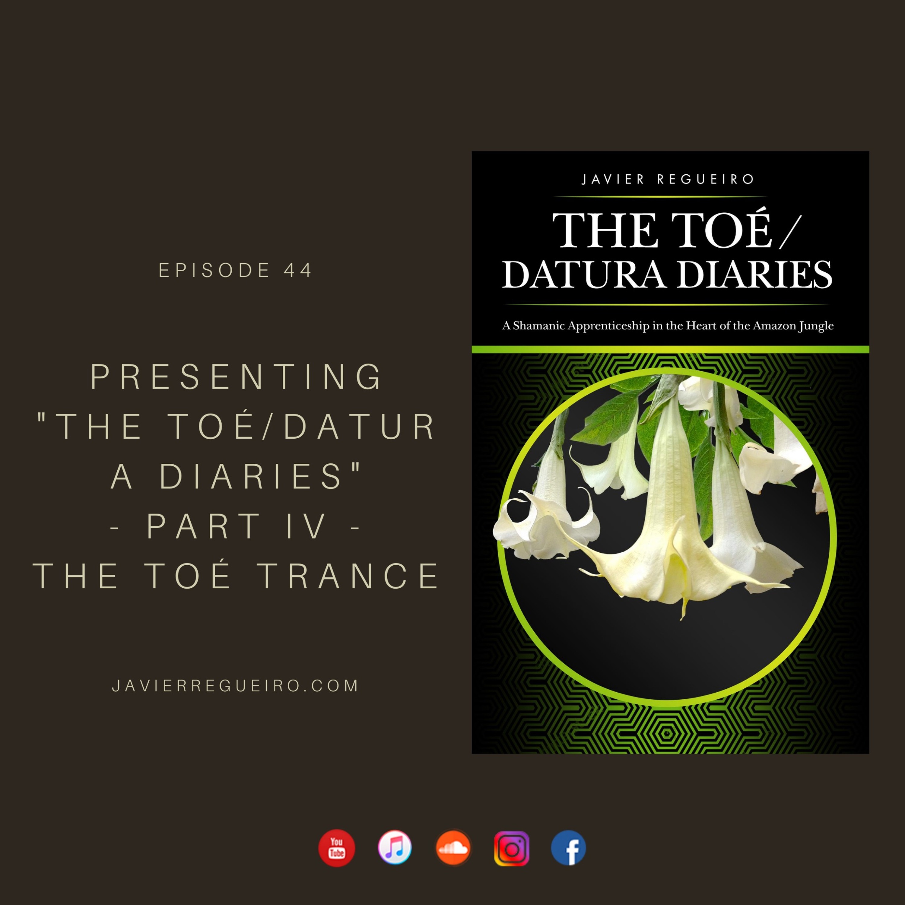 Plant Medicine Transmissions