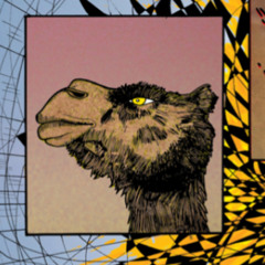 Soles de Arena (Poema)