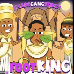 sharcgangstikcy - POONCHIE