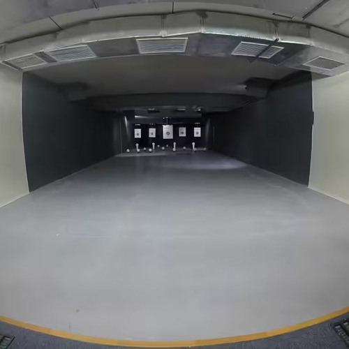 💿 digital dreamin