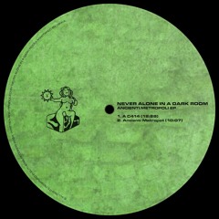 PREMIERE: Never Alone In A Dark Room - Ancienti Metropoli [ELEUTHERIA015]