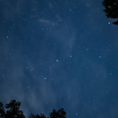 Có Như Không Có - NA