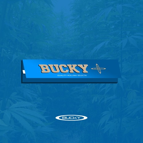 ROLLING IN THE JUNGLE