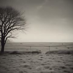 Abandoned