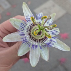 THANK YOU FOR THE CHANCE