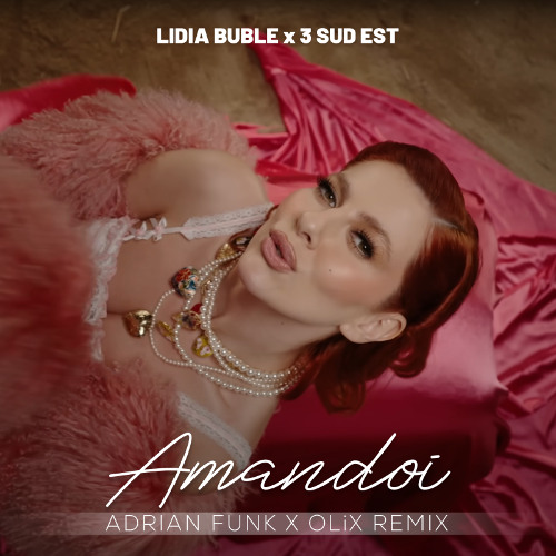 Amandoi (Adrian Funk X OLiX Remix)