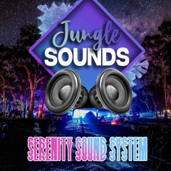 Jungle Sounds 4 Drum and Bass Rollers