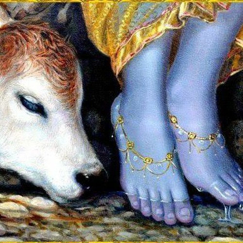 Main apna maan Hari so jodiyo