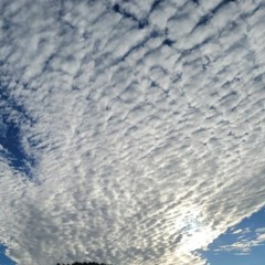SKY HIGH MIX 08