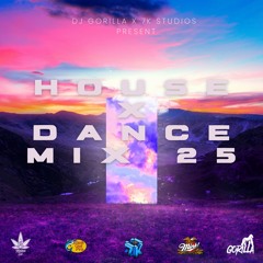House X Dance Mix 25