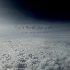 If The World Was Ending (Cover) - Delaney Wesson and Kain Marshall
