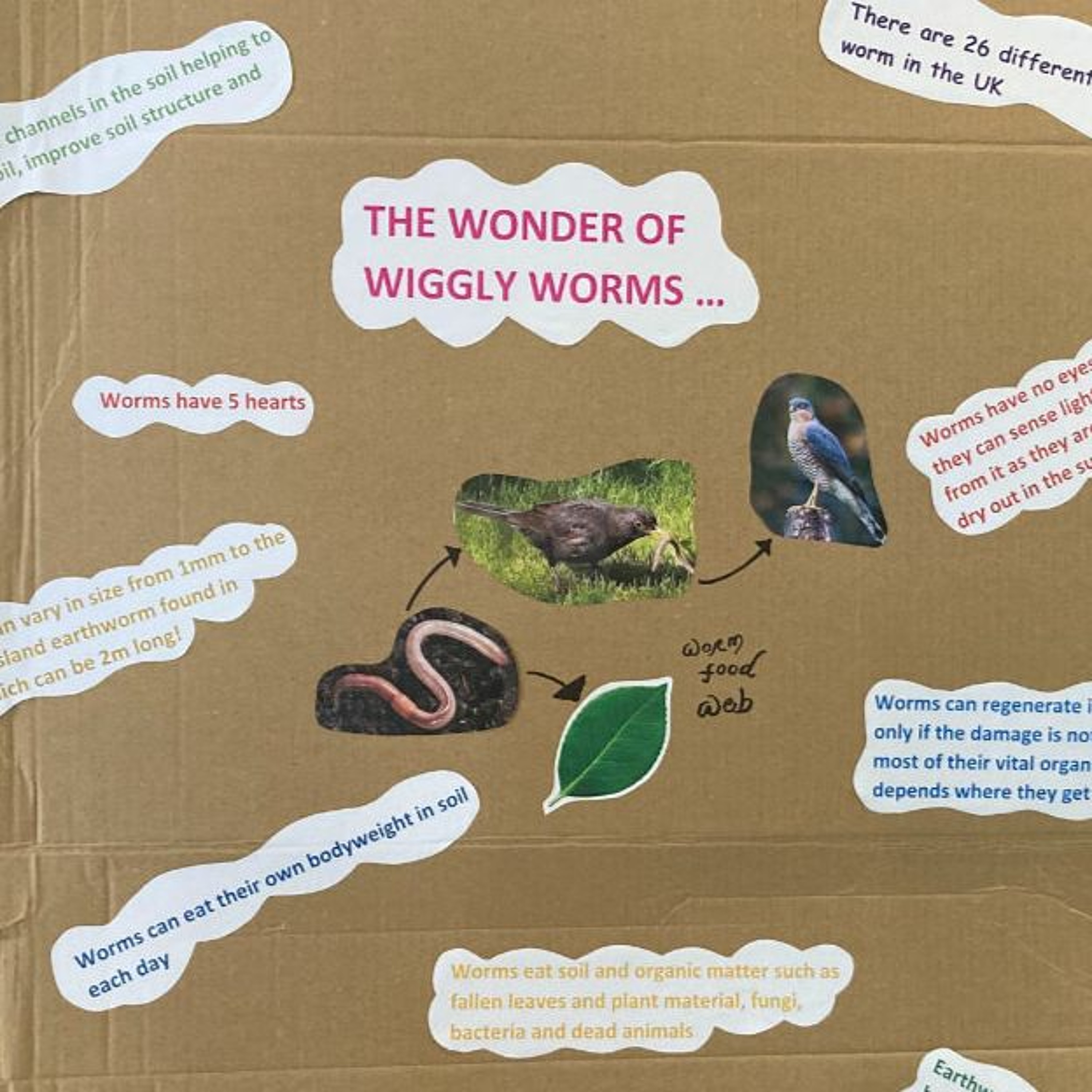 Green Fair: Learning about worms, soil and compost