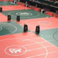 how wrestlers cut weight
