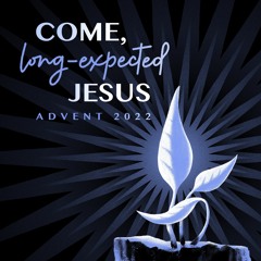 S5EP40 - Advent: What is the role of the Spirit?