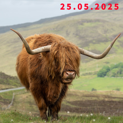 2025-05-25 Rogate