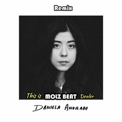 Daniela Andrade — Puddles (Remix by MOLZ BEAT)