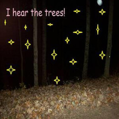 heartbreak/city (feat. exicywrld x lil xedyie)