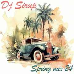 Spring-mix 24