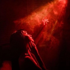 sault - wildfire (LEDERER REMIX)