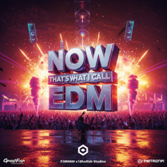 Chrome Cathedral – FatMatt (Now That’s What I Call EDM Vol. 1)
