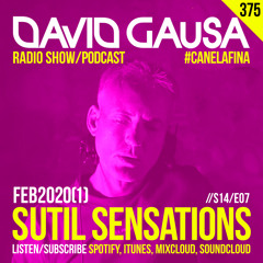 Sutil Sensations Radio Show #375 - The 2nd show of 2020 with extravagant #HotBeats & #CanelaFina!