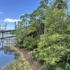 your body is so cold