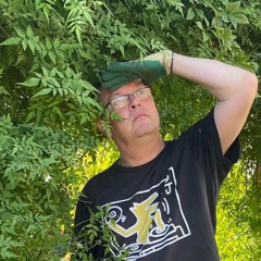 Seeds Mix #4: Joe Muggs' Music to Smell the Jasmine whilst watching for Bats in the Twilight