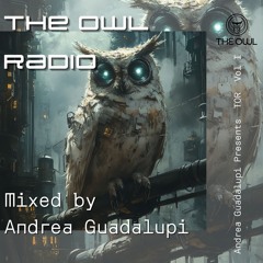 TOR Vol I - The Owl Radio - Melodic House and Techno Studio Mix