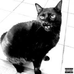 I MISS MY CAT