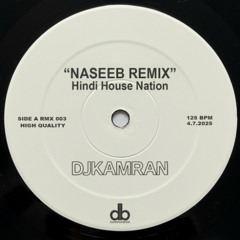Naseeb - Hindi House Remix | Hindi House Nation | Daily Dose of Desi Beats