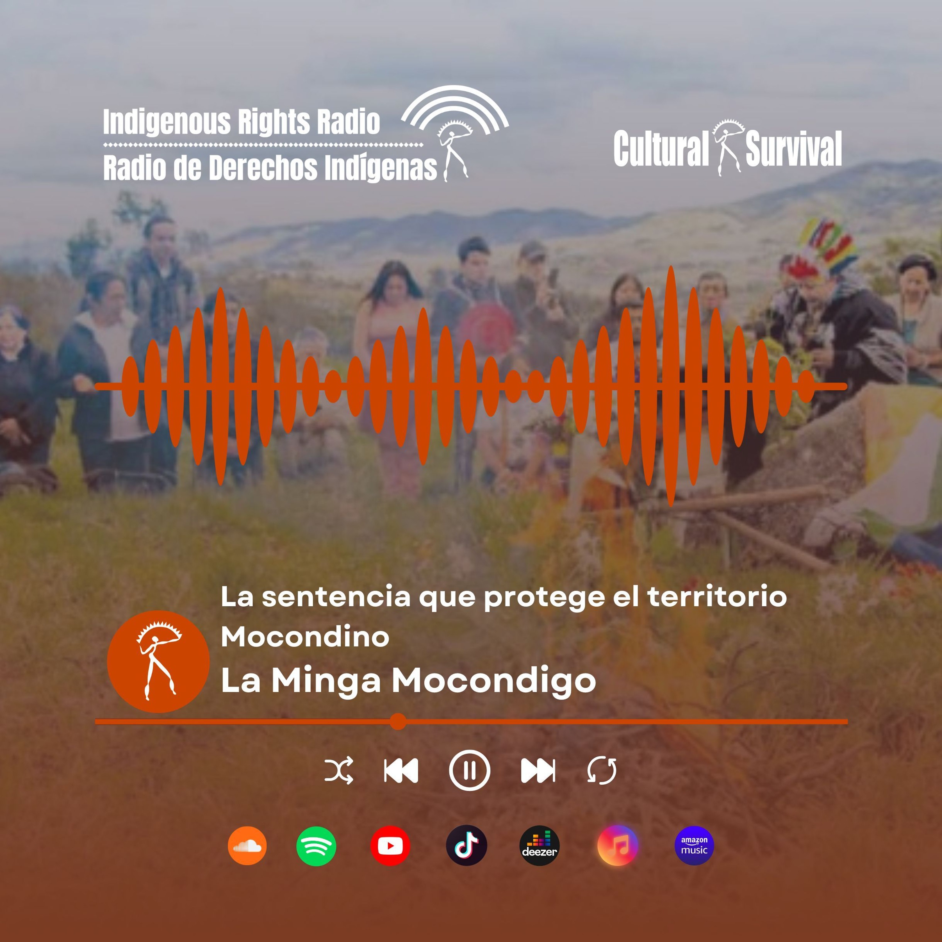 La sentencia que protege el territorio Mocondino -  La Minga Mocondigo