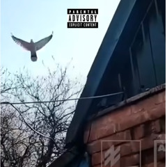 ядовитий - Deez nuts на Xacки (Prod. Axys Beats)