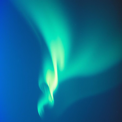 One Night Forever v.1 final