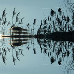 Episode 382: Brain-Eating Amoebas (Halloweeniesode)