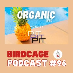 BIRDCAGE PODCAST #96: PIT PIT PIT