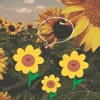 Sonnenblumen geflüster Mix DJ mix artwork - Electronic music tracklist cover image