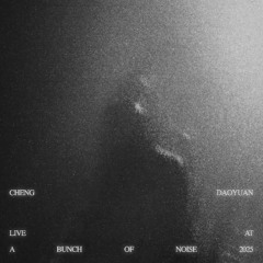 Live at A Bunch Of Noise 2025