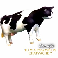 Cannelle - Tu M'a Envoyé Un ChatVache (Original Mix)