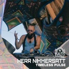 HERR NIMMERSATT - TIMELESS PULSE