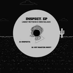 A1 Inspecta (Lindsey Matthews & Chris Gialanze