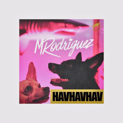 Lvbel C5 - Hav Hav Hav (Mrodriguez Edit)