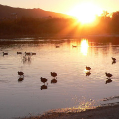 Could Be Worse - BbyNash