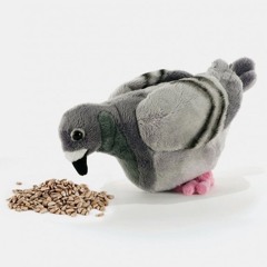 Pigeon Cherche Femme (prod.Jay!)