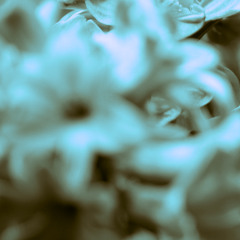 Ramune gen 5 remake (snails house)