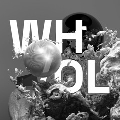 Whol [Leftfield House and Electro Mix]